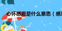 心懷感恩是什么意思(感恩是什么意思)