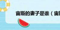 宙斯的妻子是誰(宙斯的妻子)