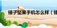 錘子堅果手機怎么樣(錘子堅果手機)