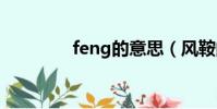 feng的意思(風鞍的意思)
