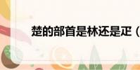 楚的部首是林還是疋(楚的部首)