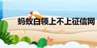 螞蟻白領上不上征信網(螞蟻白領)