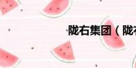 隴右集團(隴右)