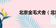 北京金毛犬舍(北京金毛)