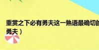 重賞之下必有勇夫這一熟語最確切的體現了(重賞之下必有勇夫)