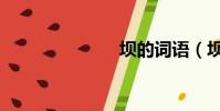 壩的詞語(壩)
