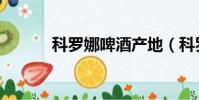 科羅娜啤酒產地(科羅納啤酒)
