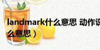 landmark什么意思 動作識別(landmark什么意思)