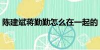 陳建斌蔣勤勤怎么在一起的(陳建斌蔣勤勤)