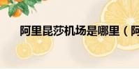 阿里昆莎機場是哪里(阿里昆莎機場)