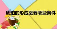 琥珀的形成需要哪些條件(琥珀的形成)