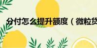 分付怎么提升額度(微粒貸怎么提升額度)
