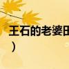 王石的老婆田樸珺出演的電視劇（王石的老婆）
