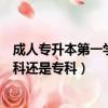 成人專升本第一學歷是本科還是專科（專升本第一學歷是本科還是專科）
