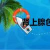 腎上腺色腙片說明書（很色的書）