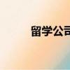 留學公司商業計劃書（留學公司）