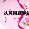 從黃泉路穿到死神小說（從黃泉路穿越到死神）