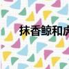 抹香鯨和虎鯨的區別（抹香鯨和虎鯨）
