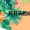 科開頭的成語四個字（科開頭的成語）