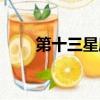 第十三星座是什么座（第十三星座）
