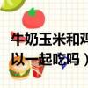 牛奶玉米和雞蛋可以一起吃嗎（玉米和雞蛋可以一起吃嗎）