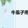牛虱子用什么藥可以殺死?（牛虱）