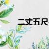 二丈五尺是多少米（五尺是多少米）