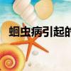 蛔蟲病引起的白斑（蛔蟲引起的白斑圖片）