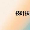 枝葉扶疏的意思（扶疏的意思）