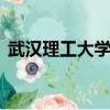 武漢理工大學是985嗎（武漢大學是985嗎）