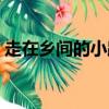 走在鄉間的小路上原唱（走在鄉間的小路上）