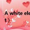A white elephant sale（a white elephant）