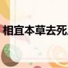 相宜本草去死皮膏成分（相宜本草去死皮膏）