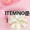 ITEMNO是什么意思中文（item是什么意思）