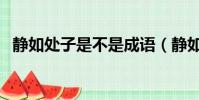 靜如處子是不是成語(靜如處女是成語嗎)