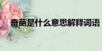 奇葩是什么意思解釋詞語(奇葩是什么)