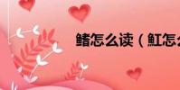 鰭怎么讀(魟怎么讀)