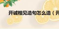 開誠相見造句怎么造(開誠相見造句)