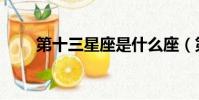 第十三星座是什么座(第十三星座)