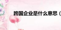 跨國企業是什么意思(跨國企業)