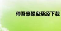 傅吾豪操盤圣經下載(傅吾豪)