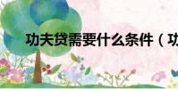 功夫貸需要什么條件(功夫貸怎么樣)