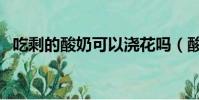 吃剩的酸奶可以澆花嗎(酸奶可以澆花嗎)