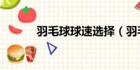 羽毛球球速選擇(羽毛球球速)