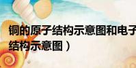 銅的原子結構示意圖和電子排布式(銅的原子結構示意圖)