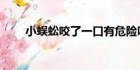 小蜈蚣咬了一口有危險嗎(小蜈蚣)