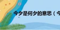 今夕是何夕的意思(今夕是何夕)