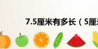 7.5厘米有多長(5厘米有多長)