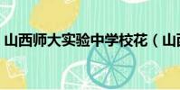 山西師大實驗中學校花(山西師大實驗中學)