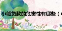 小額貸款的危害性有哪些(小額貸款的危害)